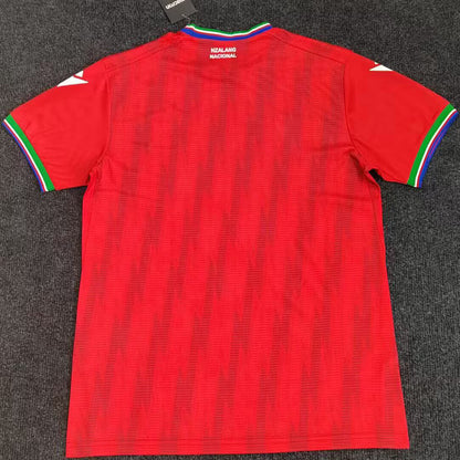 2026/27 Guinea Visitante Versión Fan Selecciones