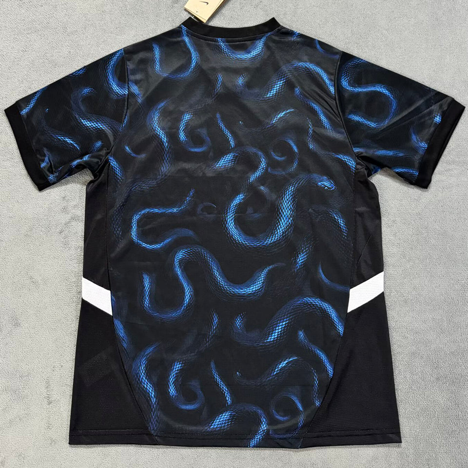 jersey 2025/26 inter milan especial manga corta versión fan