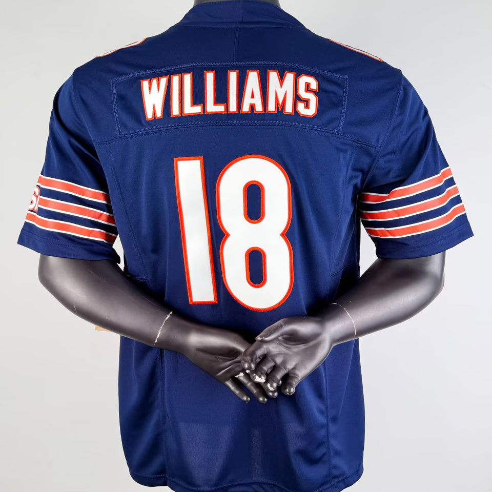 jersey 2110 chicago bears nfl