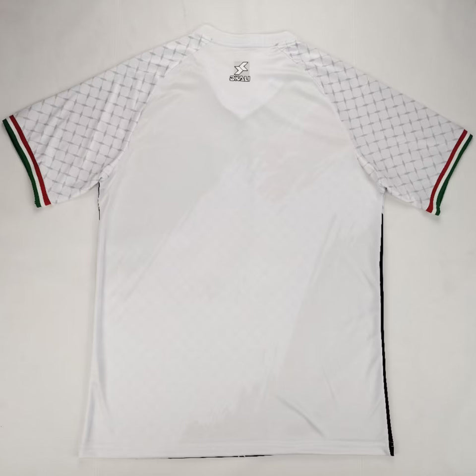 2024/25 palestine especial versión fan selecciones