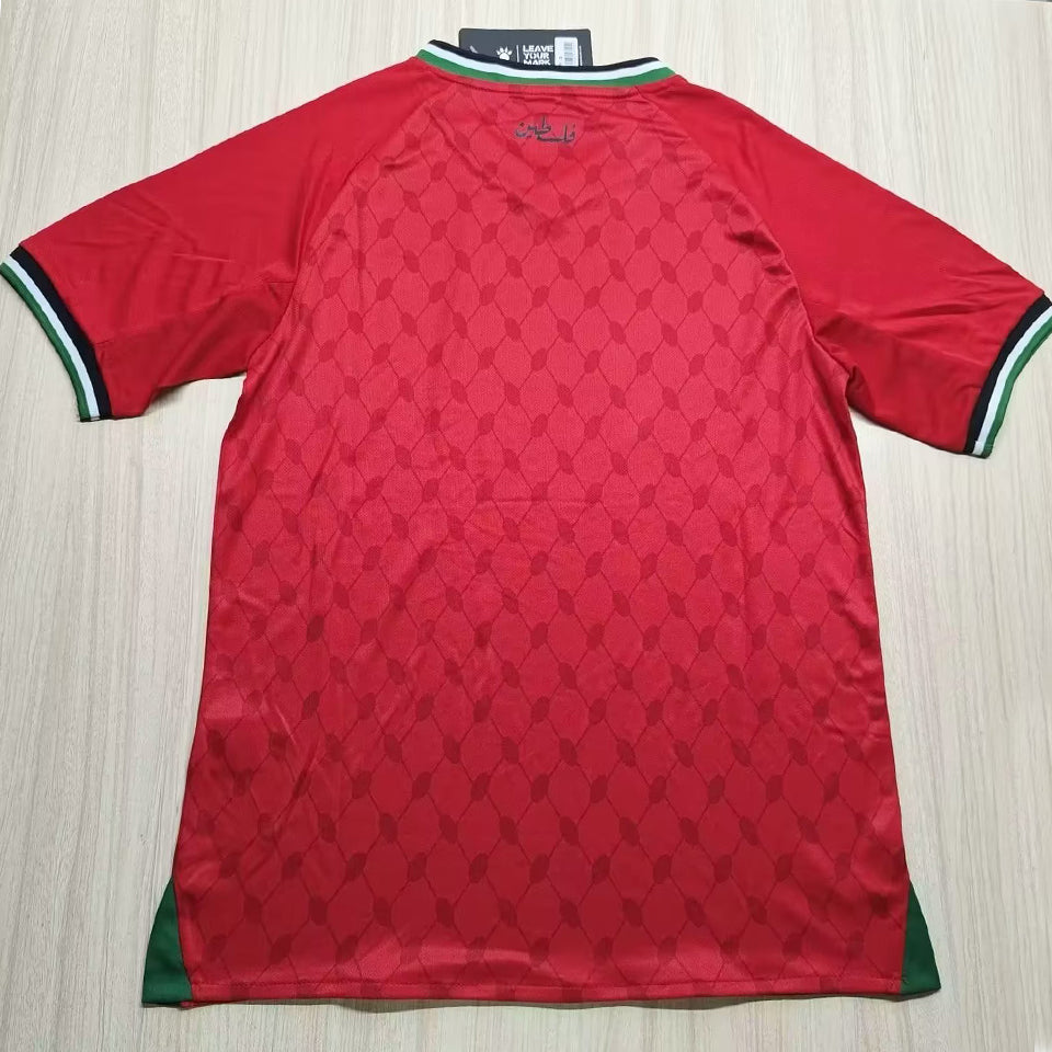 2025 palestine especial versión fan selecciones