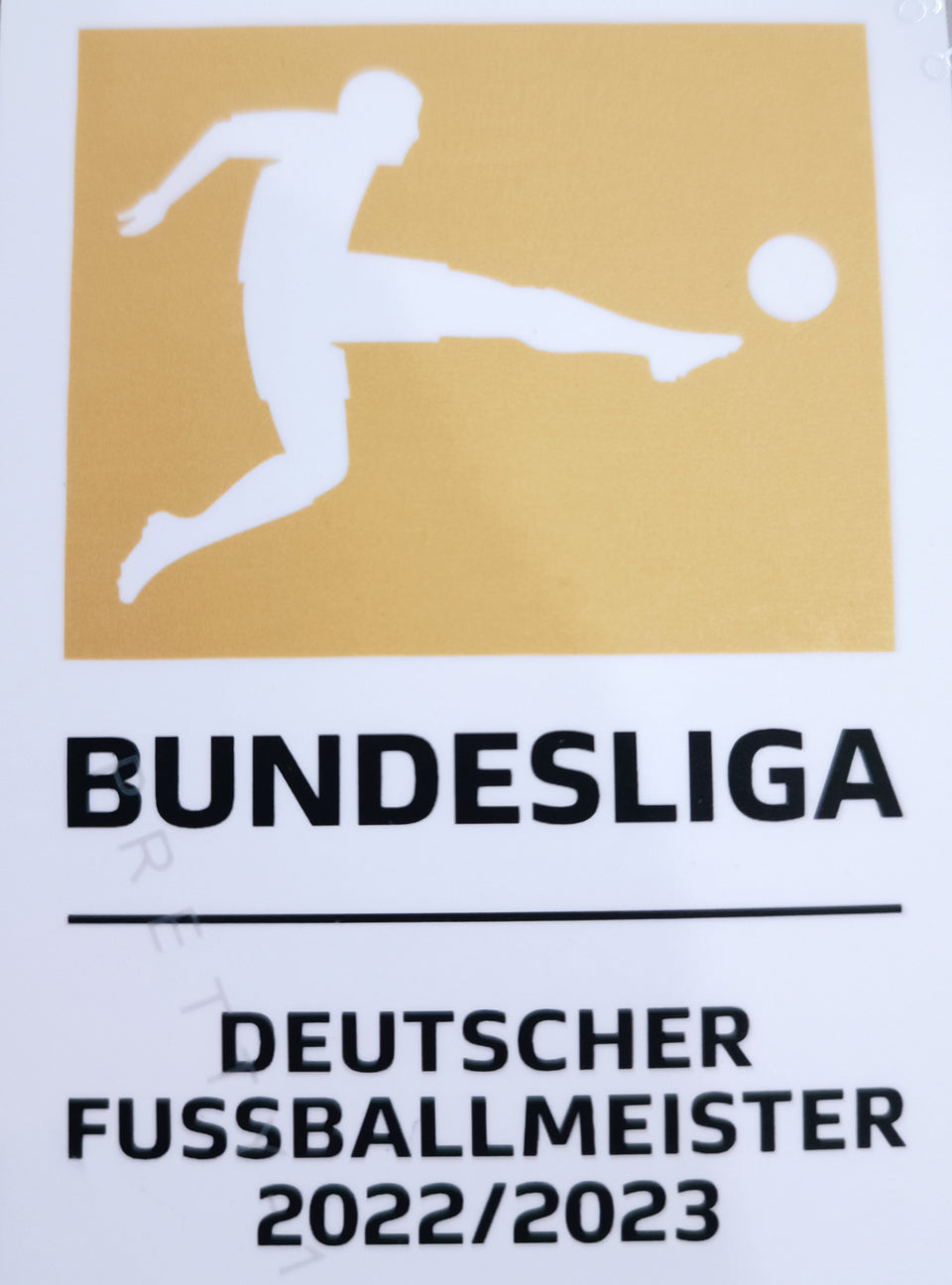 2022/2023 bayern munich parches/letras