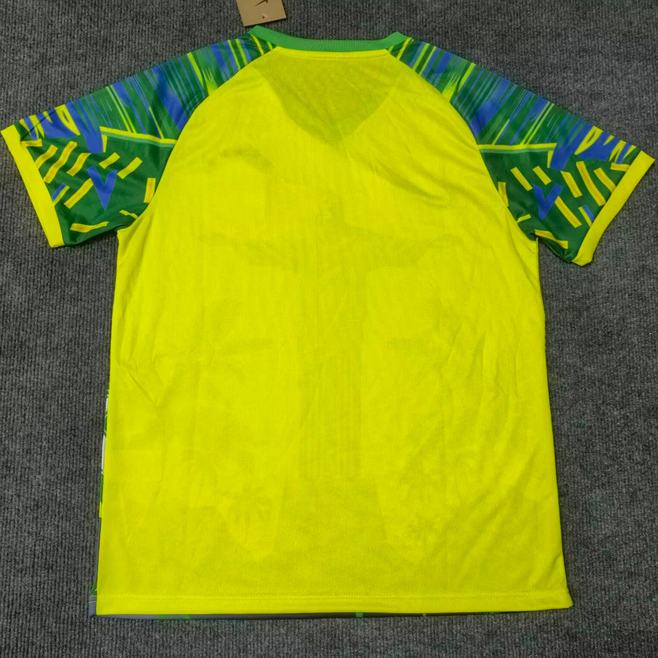 2025/26 Brasil Especial Versión Fan Selecciones