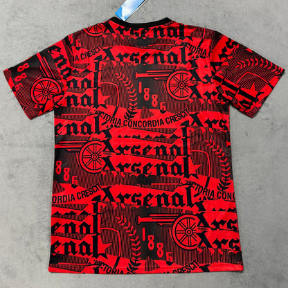 Jersey 2025/26 Arsenal Especial Manga corta Versión Fan