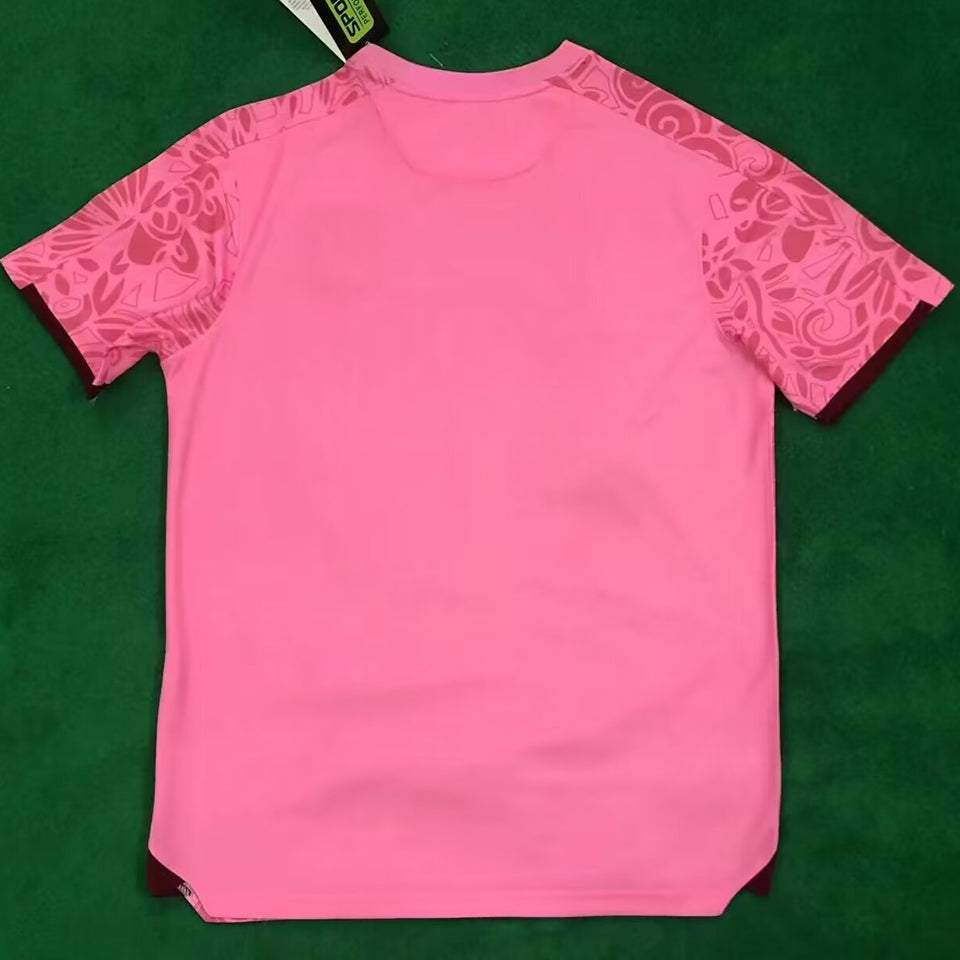 2024/25 FC Palestine Pink Especial Versión Fan Selecciones