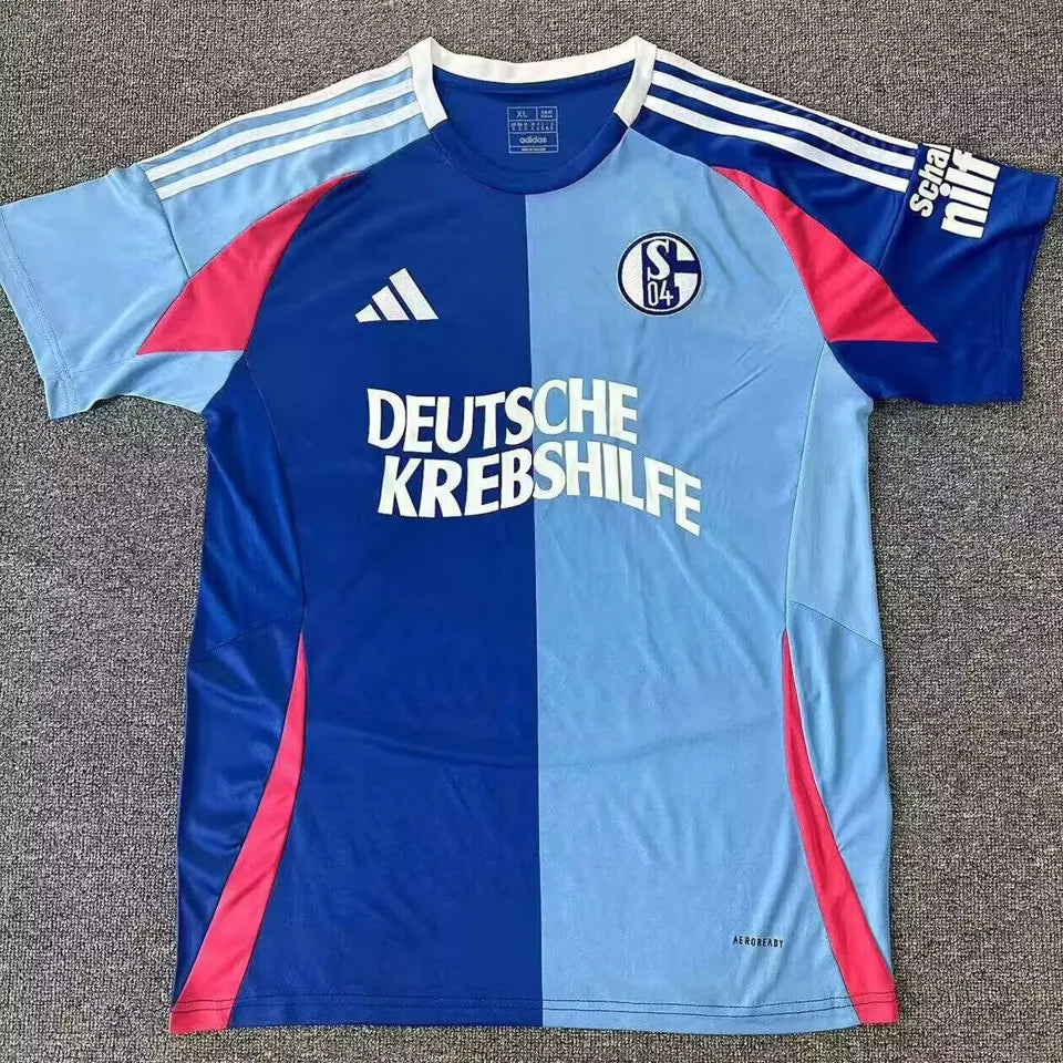 Jersey 2024/25 Schalke 04 Especial Manga corta Versión Fan