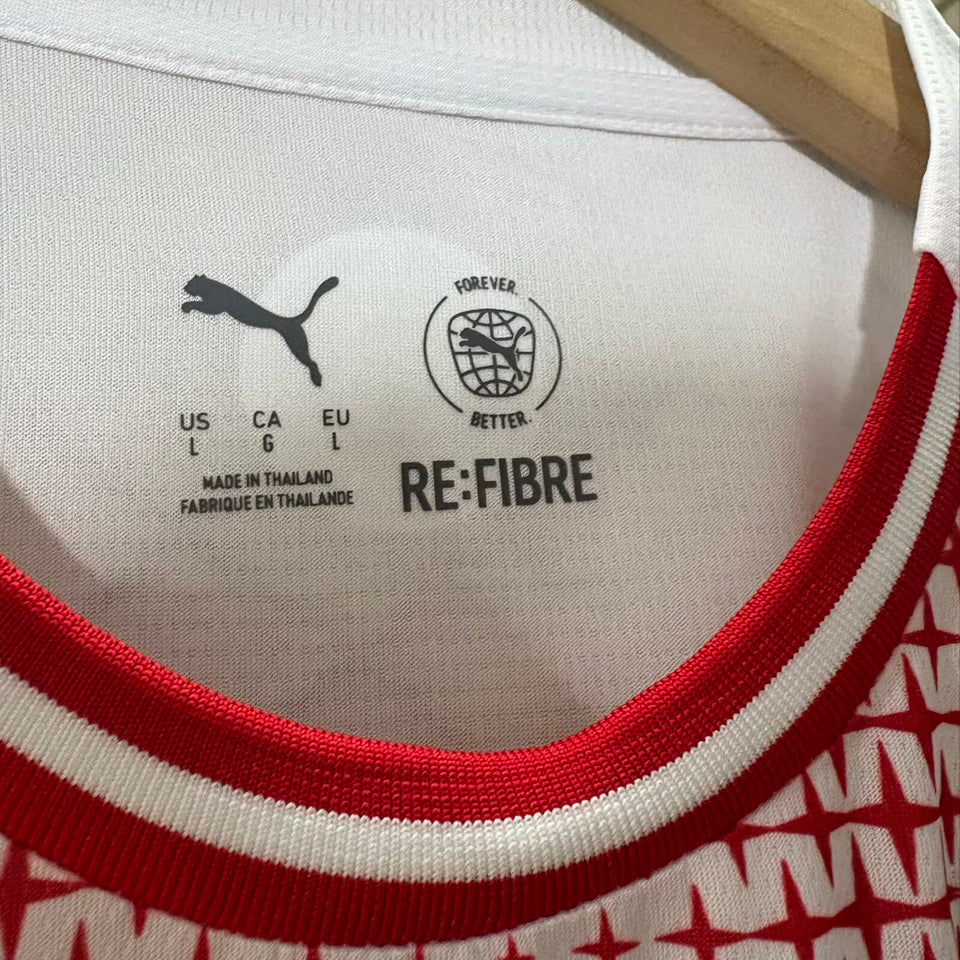 jersey 2026 psv especial manga corta versión fan