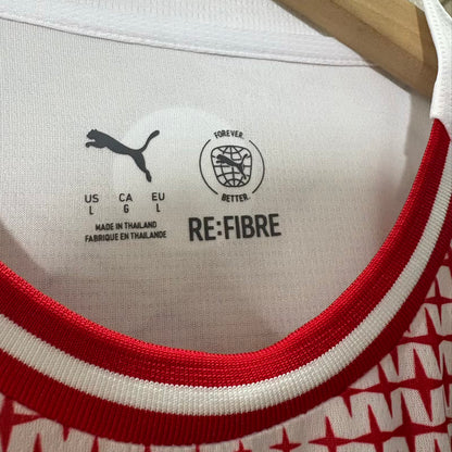 Jersey 2026 PSV Especial Manga corta Versión Fan