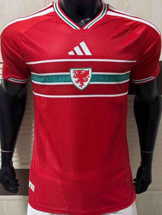 2026/27 Wales Local Versión Jugador Selecciones