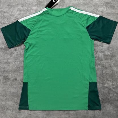 2026/27 Algeria Especial Versión Fan Selecciones