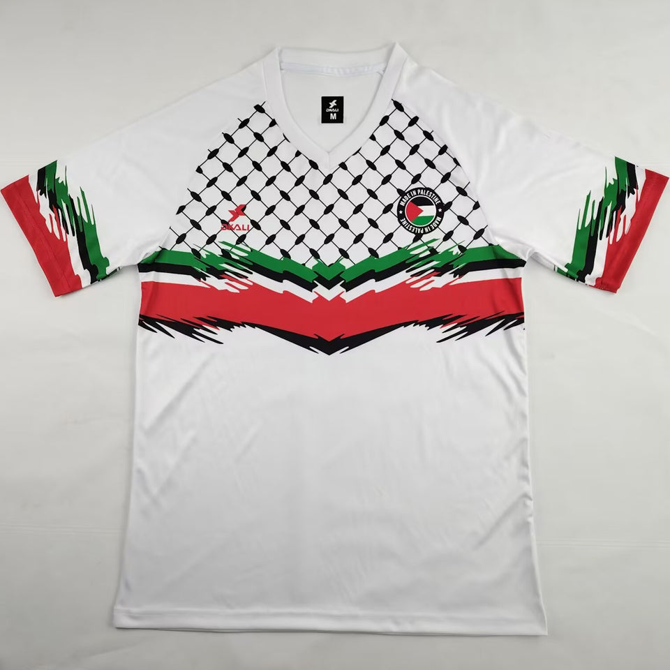 2024/25 palestine especial versión fan selecciones