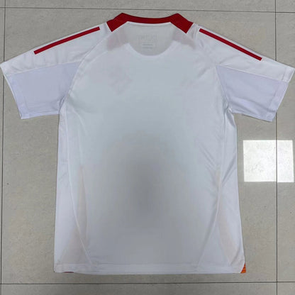 Jersey 2025 Internacional Especial Manga corta Versión Fan