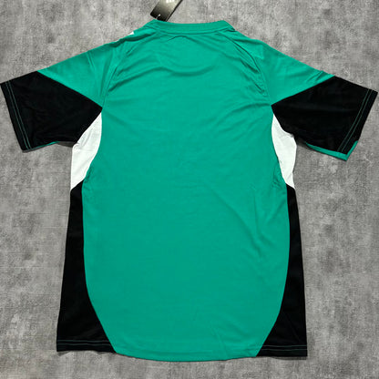 Jersey 2025/26 Liverpool Especial Manga corta Versión Fan