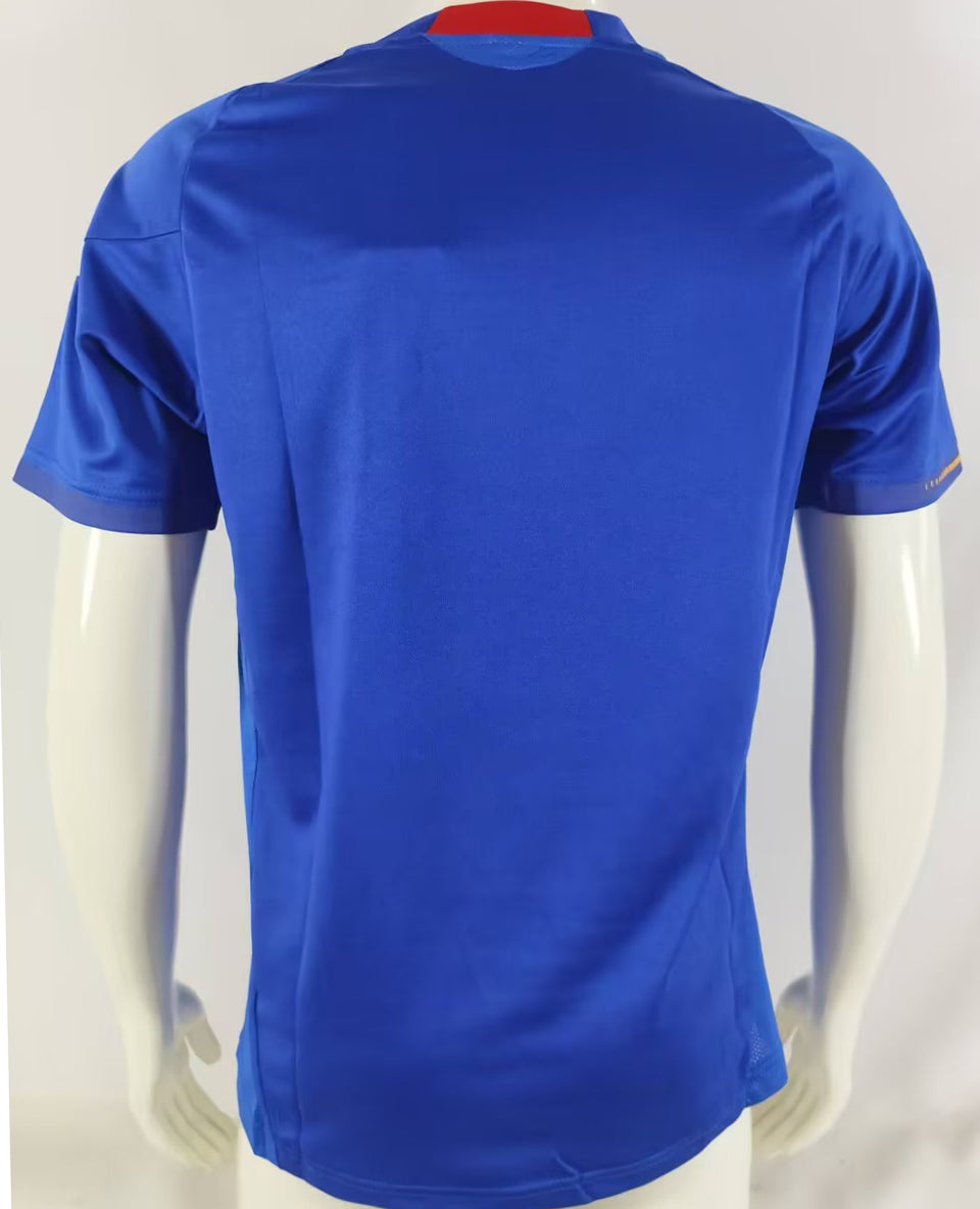 2010 japon local versión fan selecciones retro