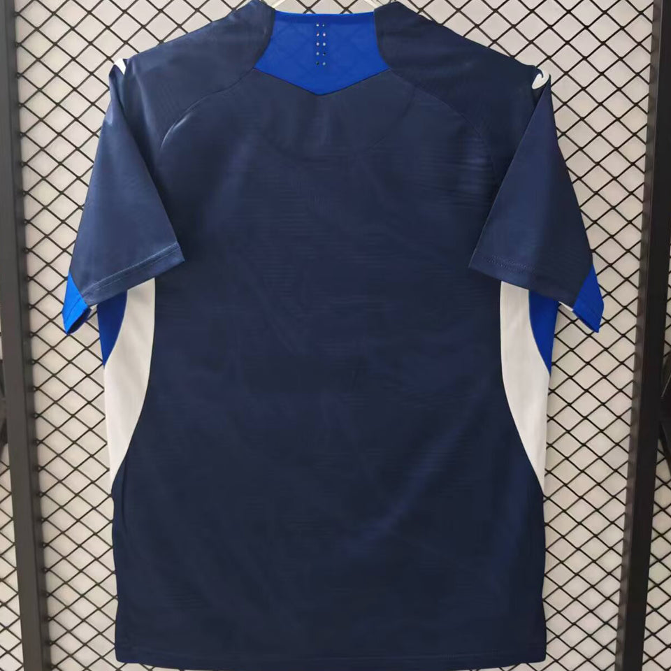 jersey 2025/26 hoffenheim local manga corta versión fan