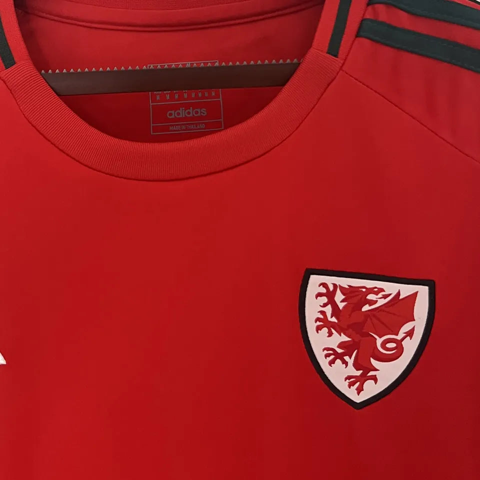 2024/25 Wales Local Versión Fan Selecciones