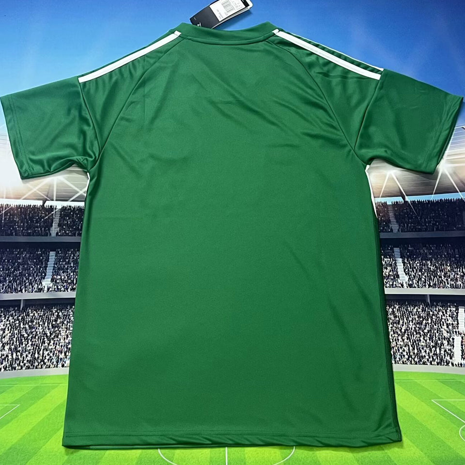 Jersey 2025/26 Newcastle Visitante Manga corta Versión Fan