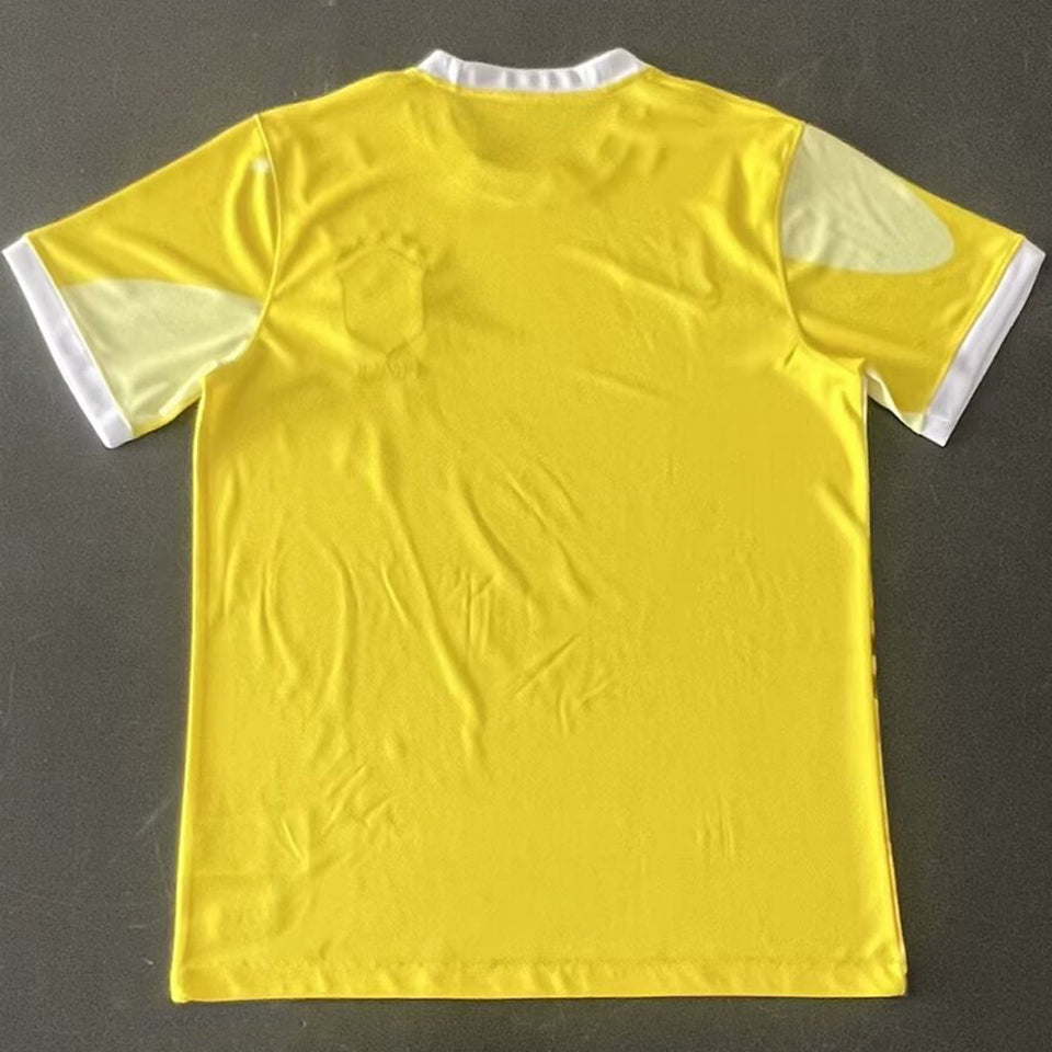 2024/25 Brasil Especial Versión Fan Selecciones