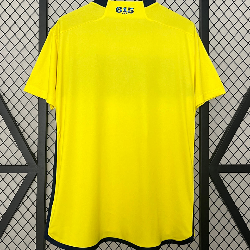 Jersey 2024/25 Nashville Local Manga corta Versión Fan
