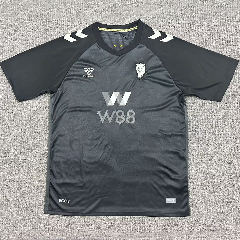 jersey 2025/26 sunderland tercero manga corta versión fan