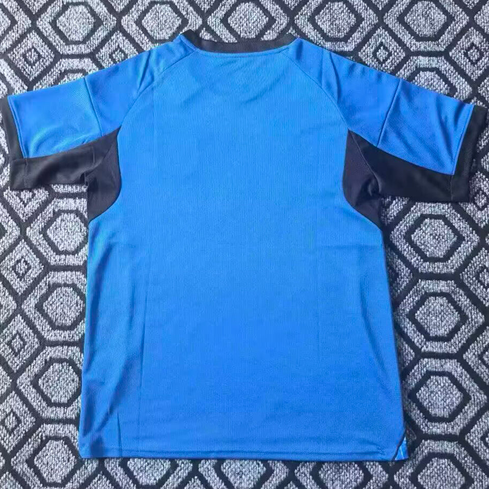 2026 japon especial versión fan selecciones