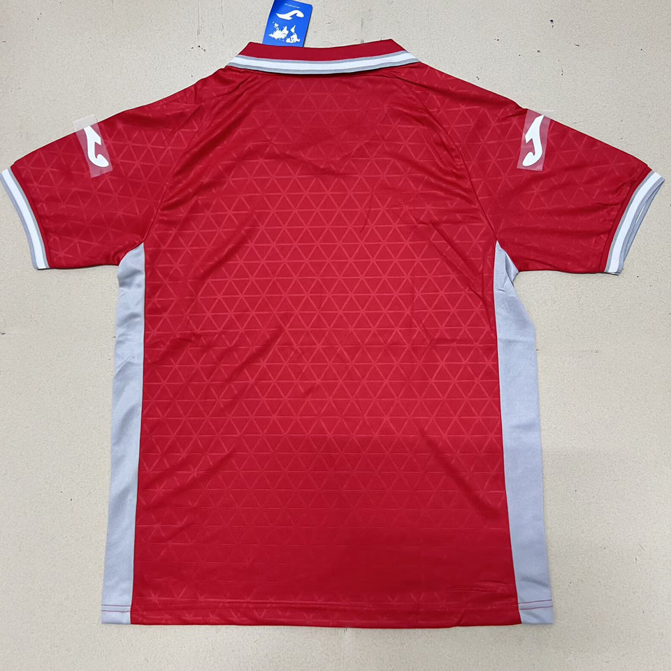 Jersey 2025/26 Cordoba Tercero Manga corta Versión Fan