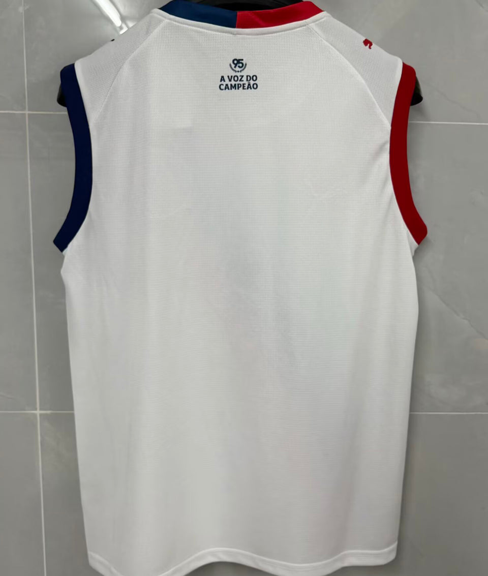 jersey 2026/27 bahia local manga corta versión fan