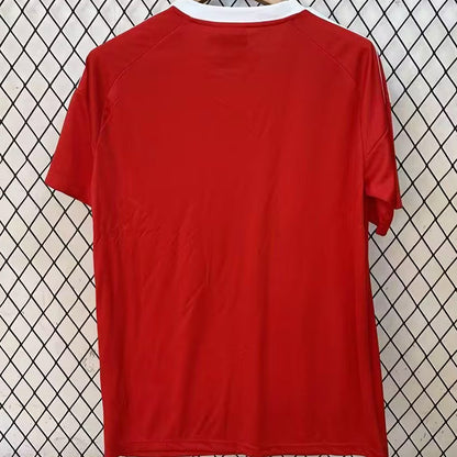 Jersey 2025/26 Flamengo Especial Manga corta Versión Fan Retro