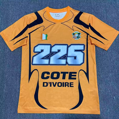 2026/27 Ivory Coast Especial Versión Fan Selecciones