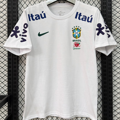 2026/27 Brasil Especial Versión Fan nan