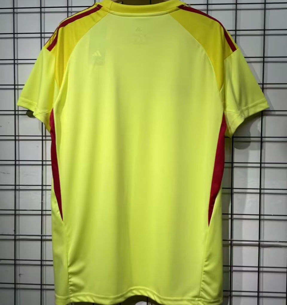 Jersey 2025/26 Celtic Especial Manga corta Versión Fan