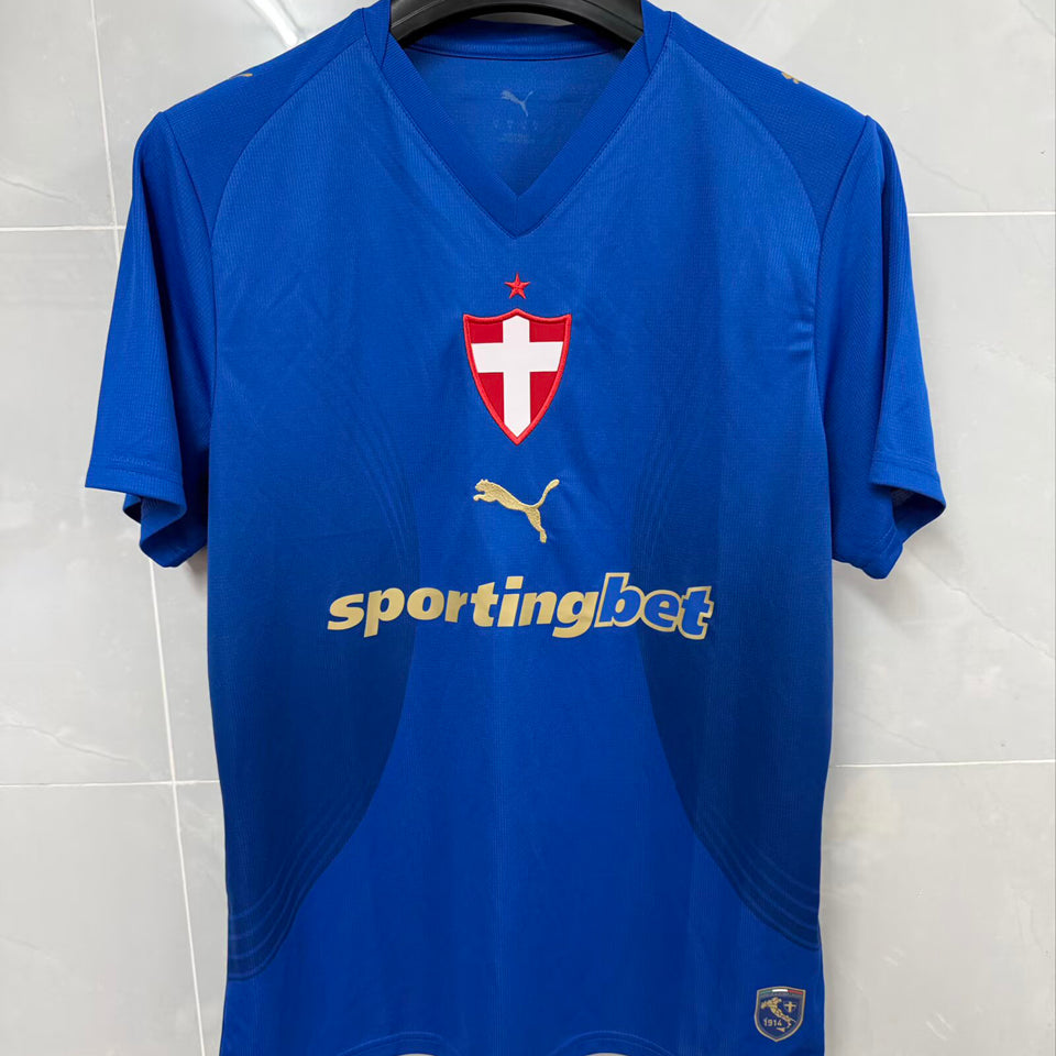 jersey 2026/27 palmeiras tercero manga corta versión fan