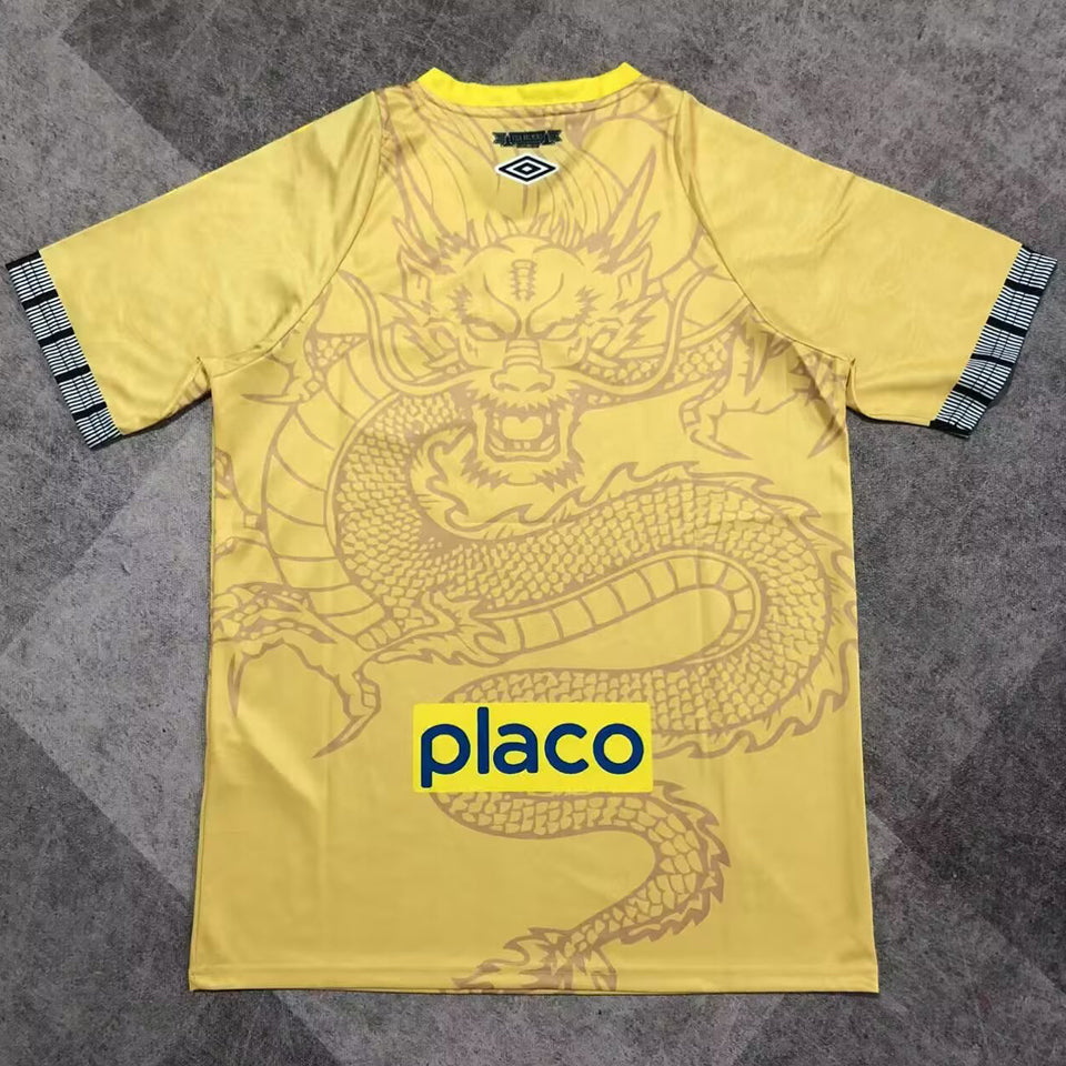 jersey 2025/26 santos especial manga corta versión fan