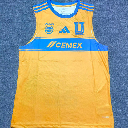 Jersey 2025/26 Tigres Local Manga corta Versión Fan