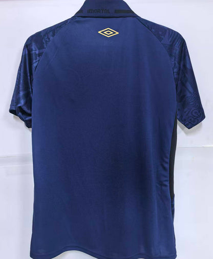 Jersey 2025/26 Gremio Tercero Manga corta Versión Fan