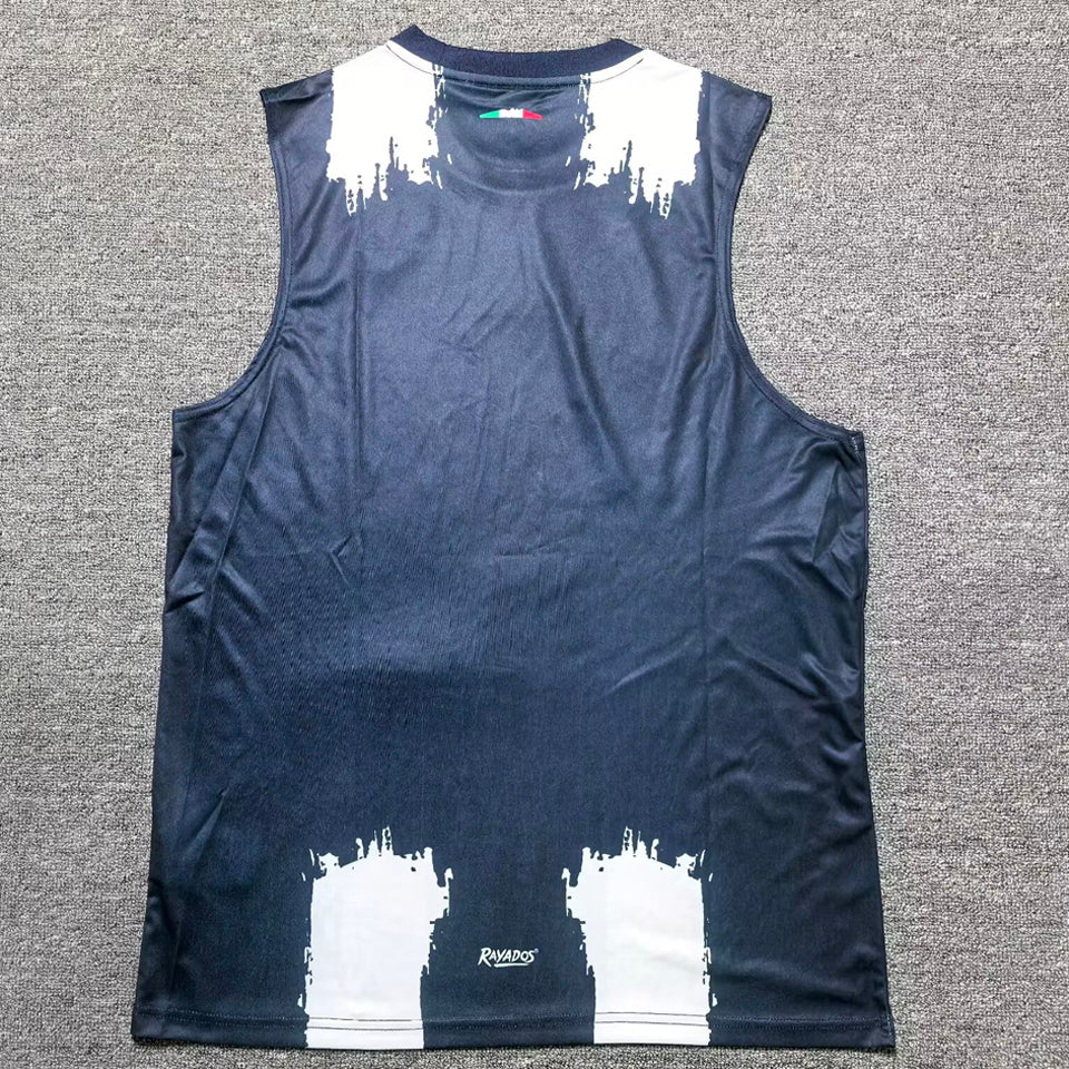 Jersey 2025/26 Monterrey FIFA CWC Especial Manga corta Versión Fan