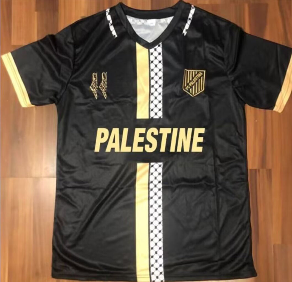 2024 palestine especial versión fan selecciones