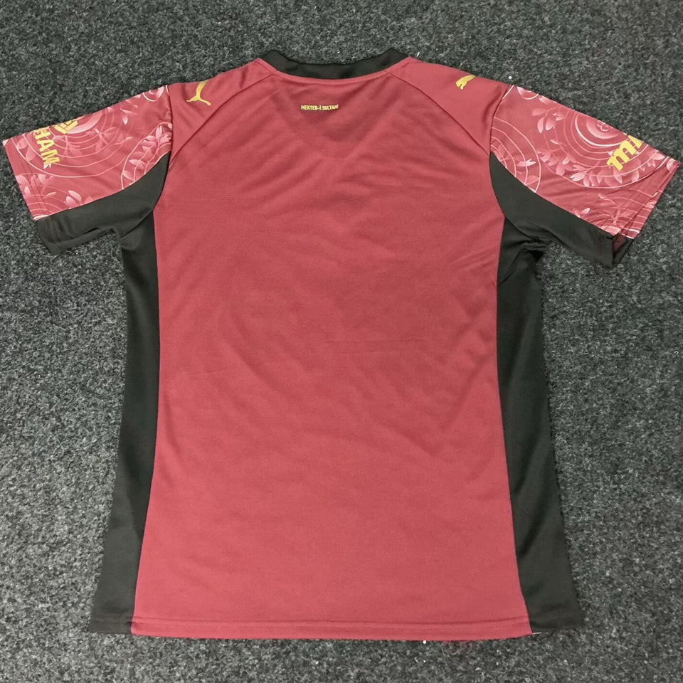 Jersey 2025/26 Galatasaray Tercero Manga corta Versión Fan