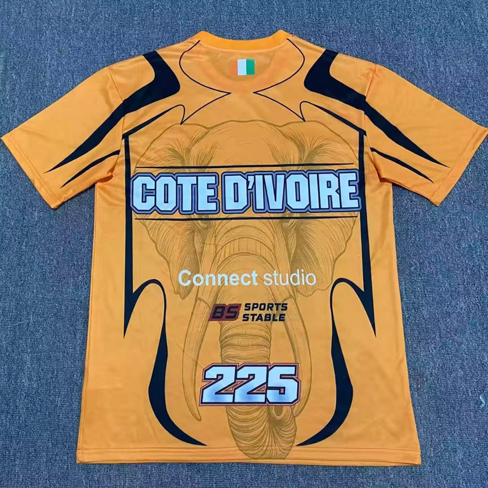 2026/27 ivory coast especial versión fan selecciones