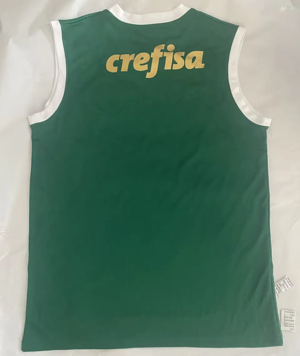 Jersey 2024/25 Palmeiras Local Manga corta Versión Fan