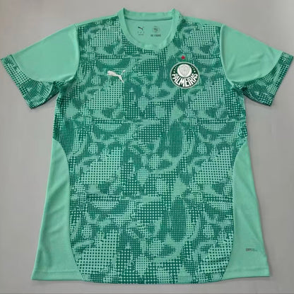Jersey 2026/27 Palmeiras Especial Manga corta Versión Fan