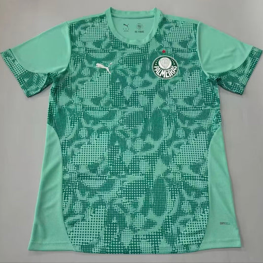 Jersey 2026/27 Palmeiras Especial Manga corta Versión Fan