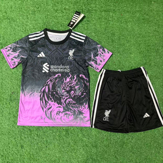 Jersey 2025/26 Liverpool Especial Manga corta Niño