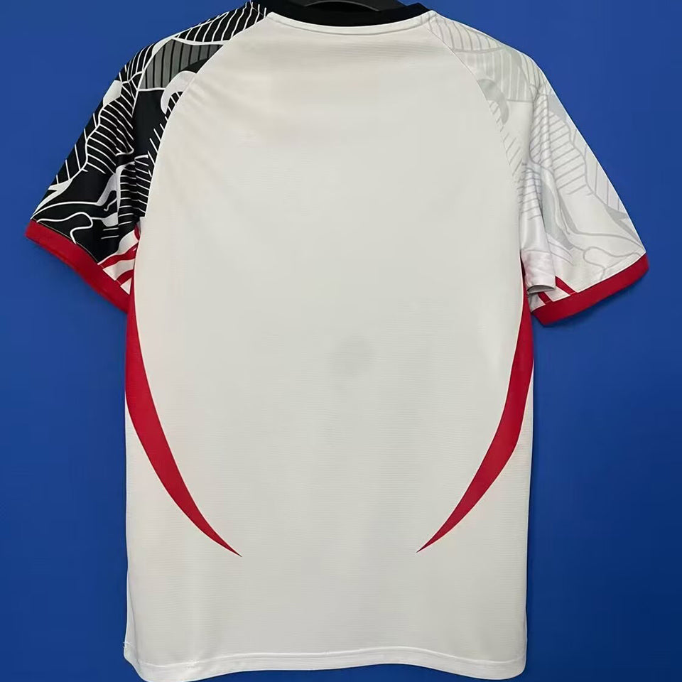 2025/26 japon especial versión fan selecciones