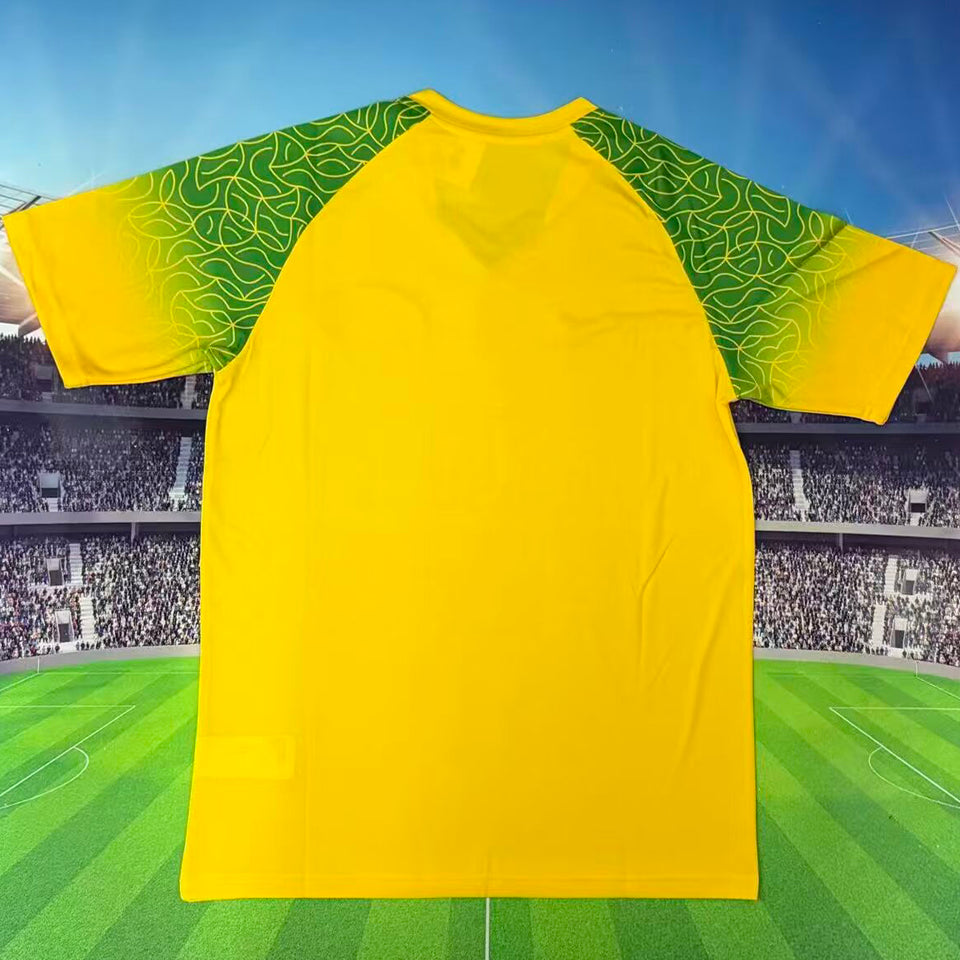 2026 burkina faso especial versión fan selecciones