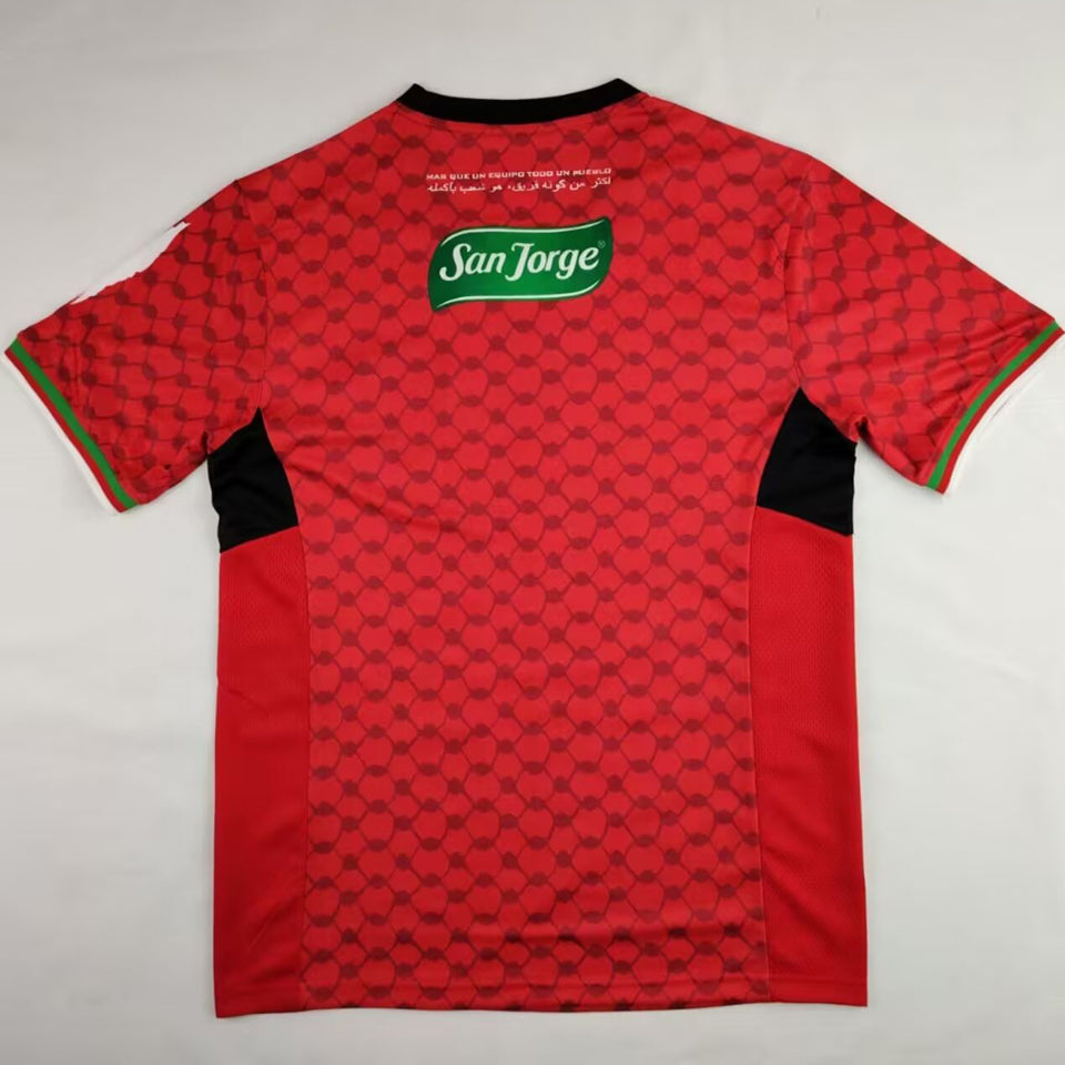 jersey 2024/25 palestino especial manga corta versión fan