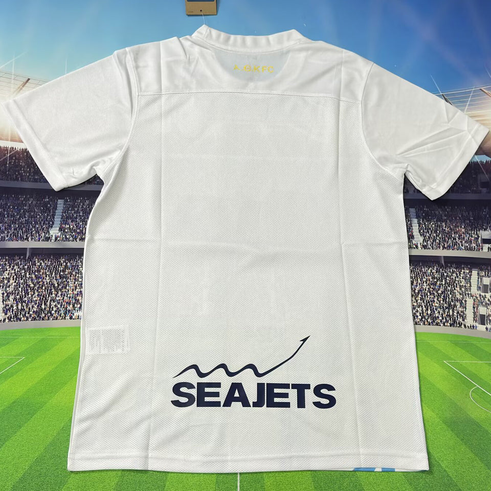 Jersey 2025/26 AEK Athens Tercero Manga corta Versión Fan