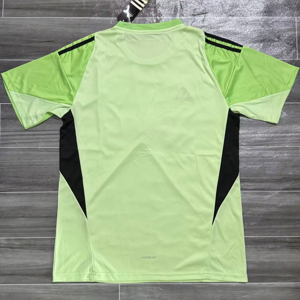 Jersey 2025/26 Newcastle Goalkeepe Especial Manga corta Versión Fan