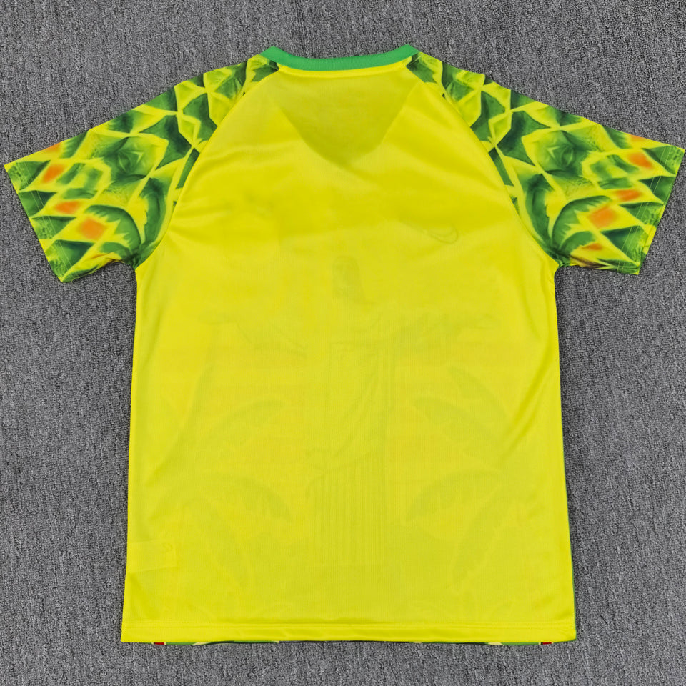 2025/26 Brasil Especial Versión Fan Selecciones