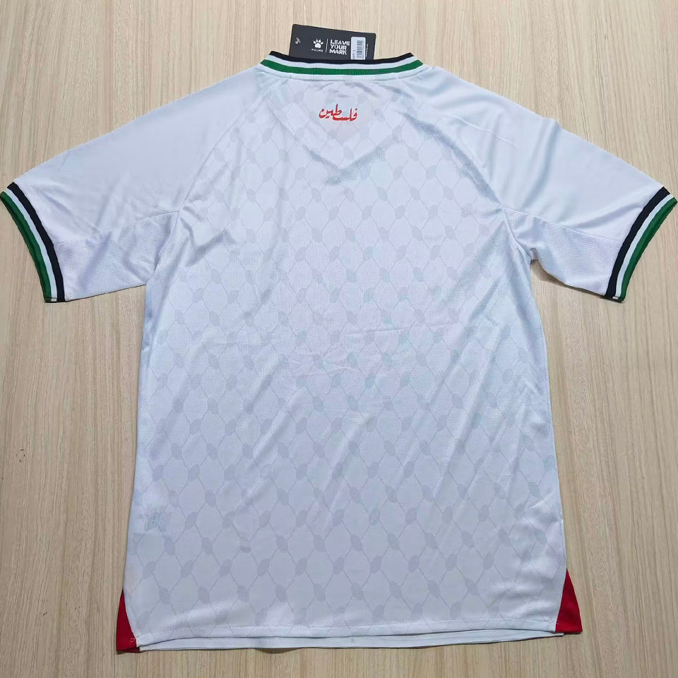 2025 palestine especial versión fan selecciones